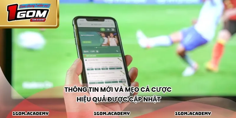 Thông tin mới và mẹo cá cược hiệu quả được cập nhật